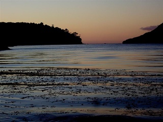 Caleta Gonzalo - Fjord Met Zeewier