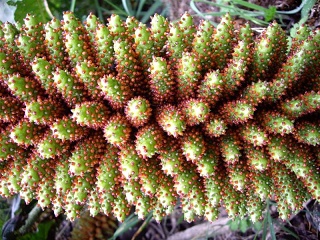 Coyhaique - Puerto Chacabuco