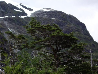 P. Aysen - Puyuhuapi (3)