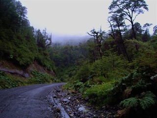 Puyuhuapi - Chalten - 2